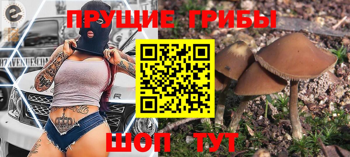 наркотики  Вход с VPN  Туапсе  Псилоцибиновые грибы ЛСД 